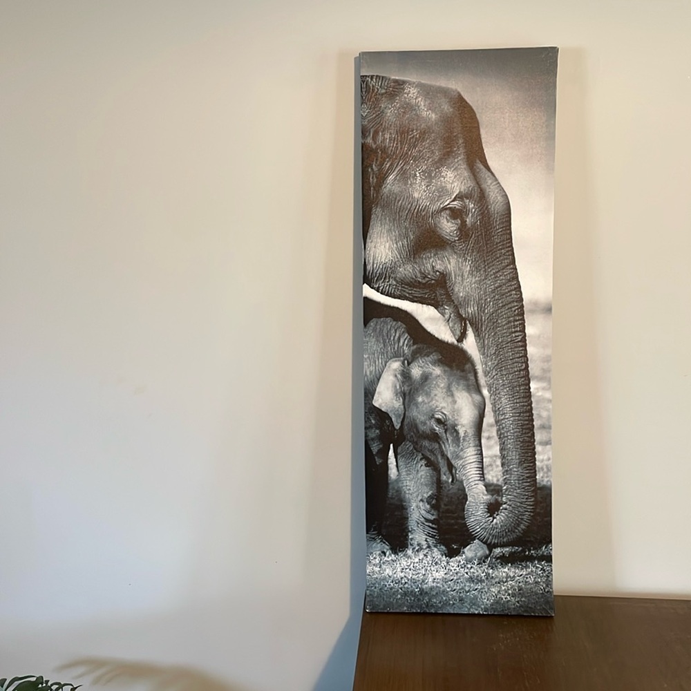 Elephant photo canvas